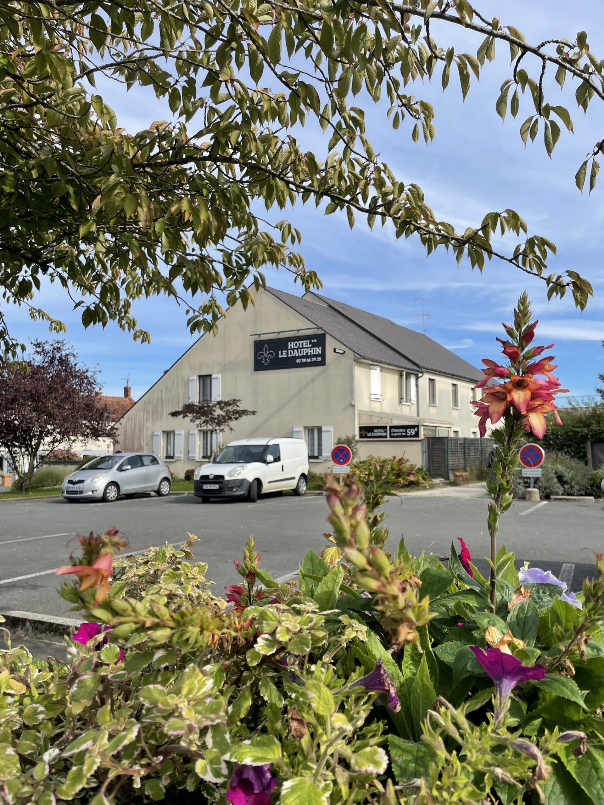 Hôtel le dauphin